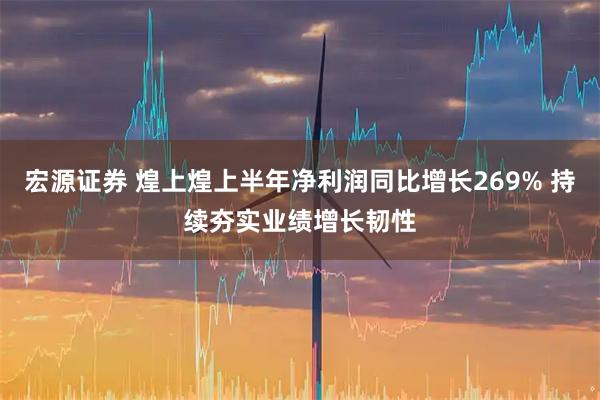 宏源证券 煌上煌上半年净利润同比增长269% 持续夯实业绩增长韧性